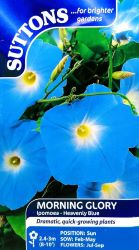 Morning Glory Heavenly Blue Seeds